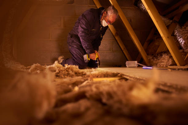 Best Energy-efficient Insulation  in Neffs, OH